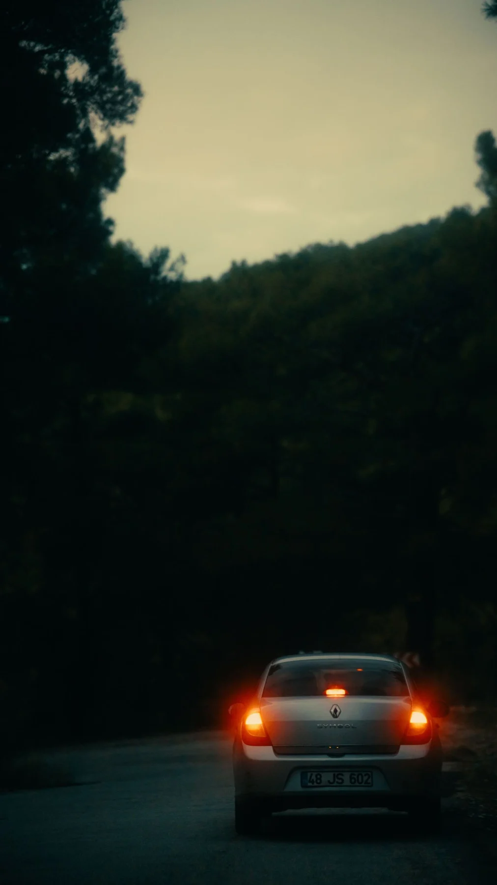 Auto visto desde atrás en un camino al caer la tarde